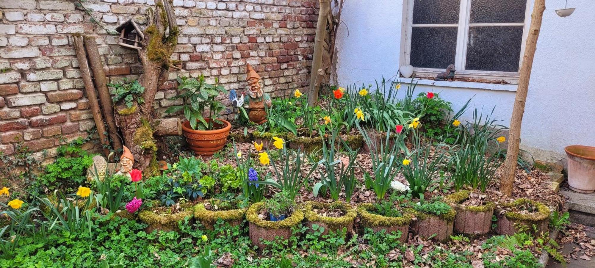 Urlaub Am Rhein, Ferienwohnung Mit Garten Boppard Exterior photo